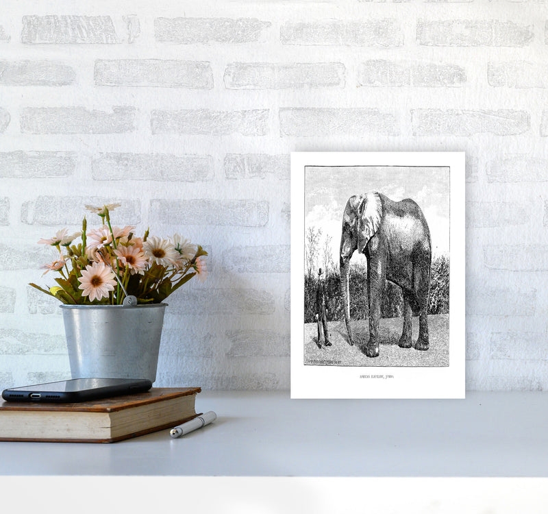 African Elephant Art Print by Jason Stanley A4 Black Frame