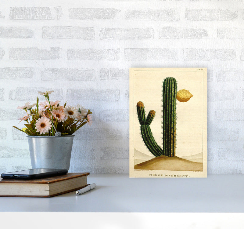 Vintage Cactus II Art Print by Jason Stanley A4 Black Frame