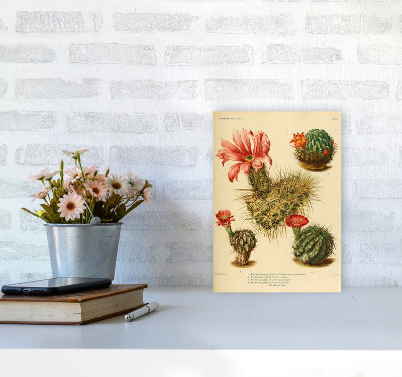 Cactus Series 4 Art Print by Jason Stanley A4 Black Frame