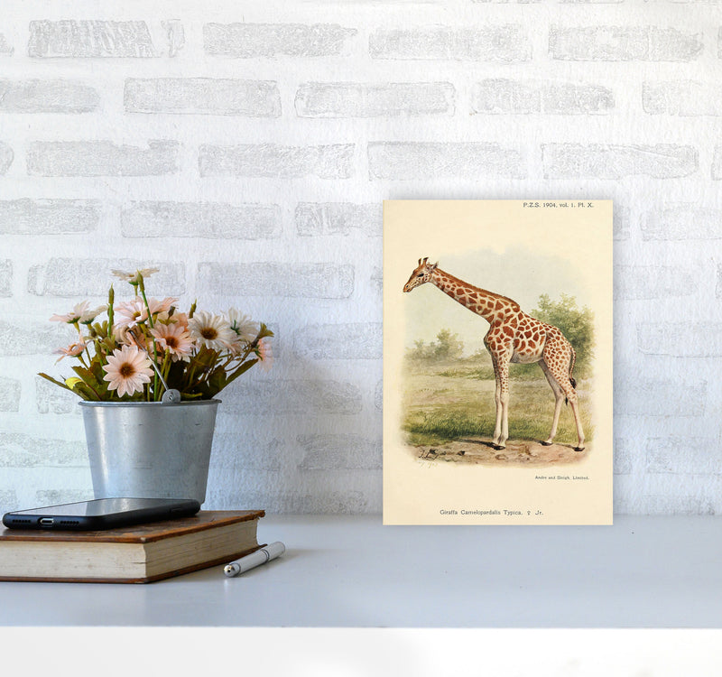 The Gentle Giraffe Art Print by Jason Stanley A4 Black Frame