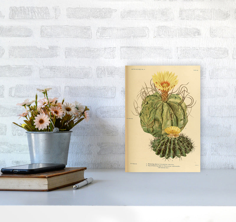 Cactus Series 15 Art Print by Jason Stanley A4 Black Frame