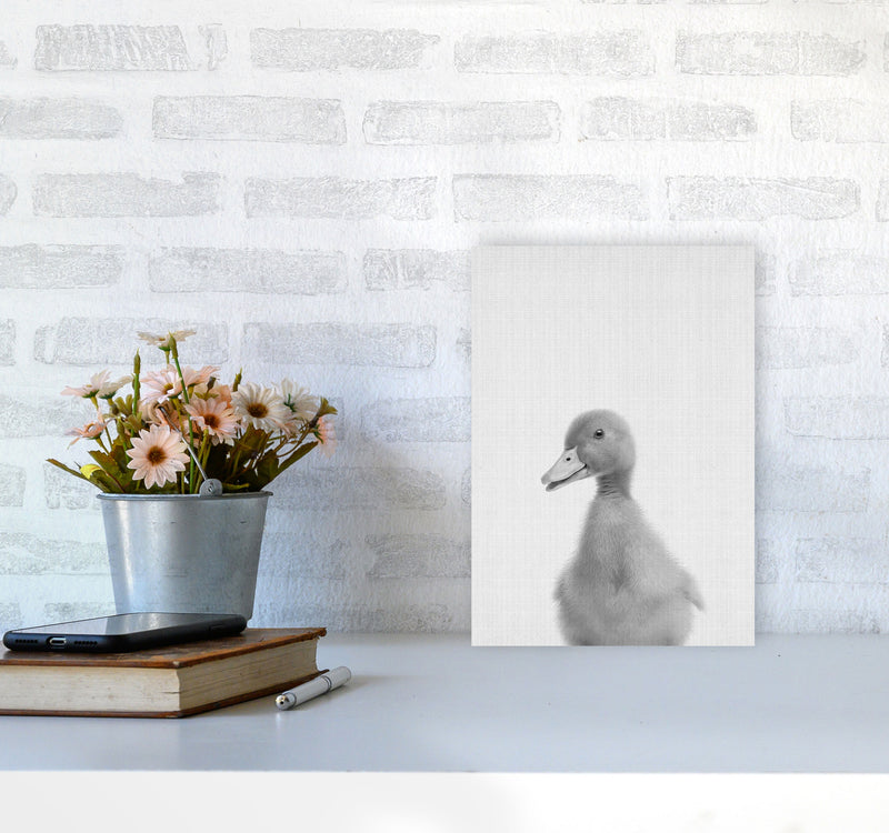 Curious Duck Art Print by Jason Stanley A4 Black Frame