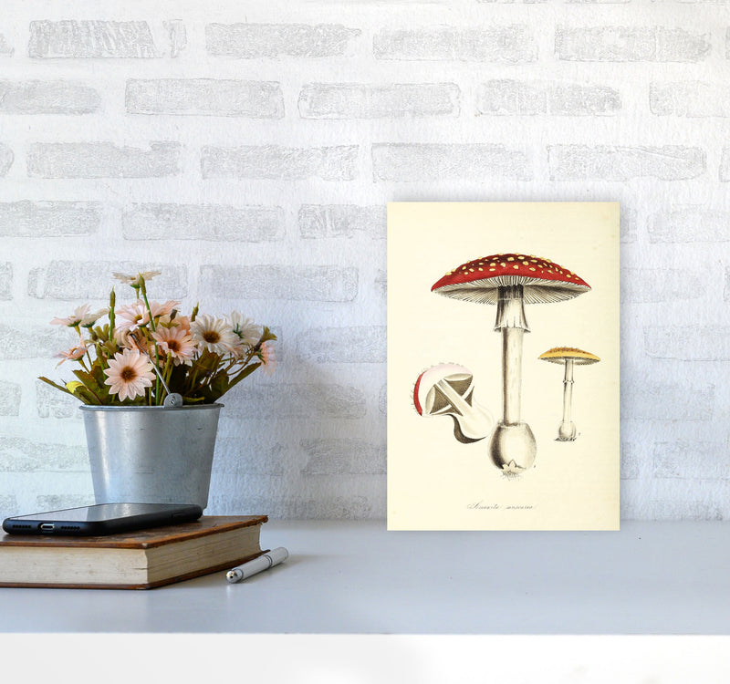 Magic Mushrooms Art Print by Jason Stanley A4 Black Frame