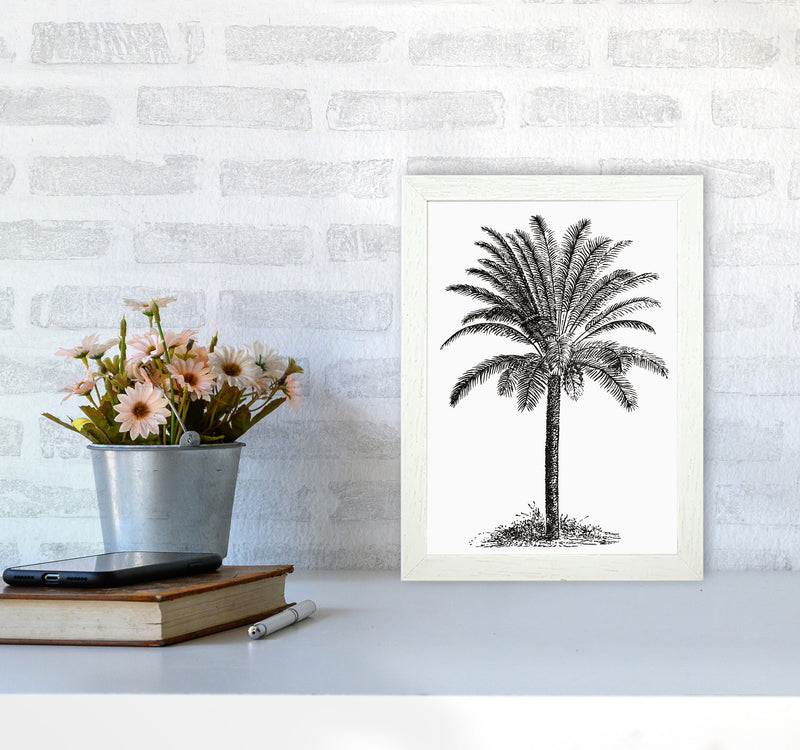 Vintage Palm Tree Art Print by Jason Stanley A4 Oak Frame