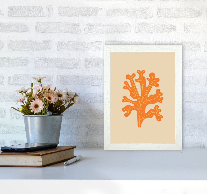 Orange Seaweed Art Print by Jason Stanley A4 Oak Frame