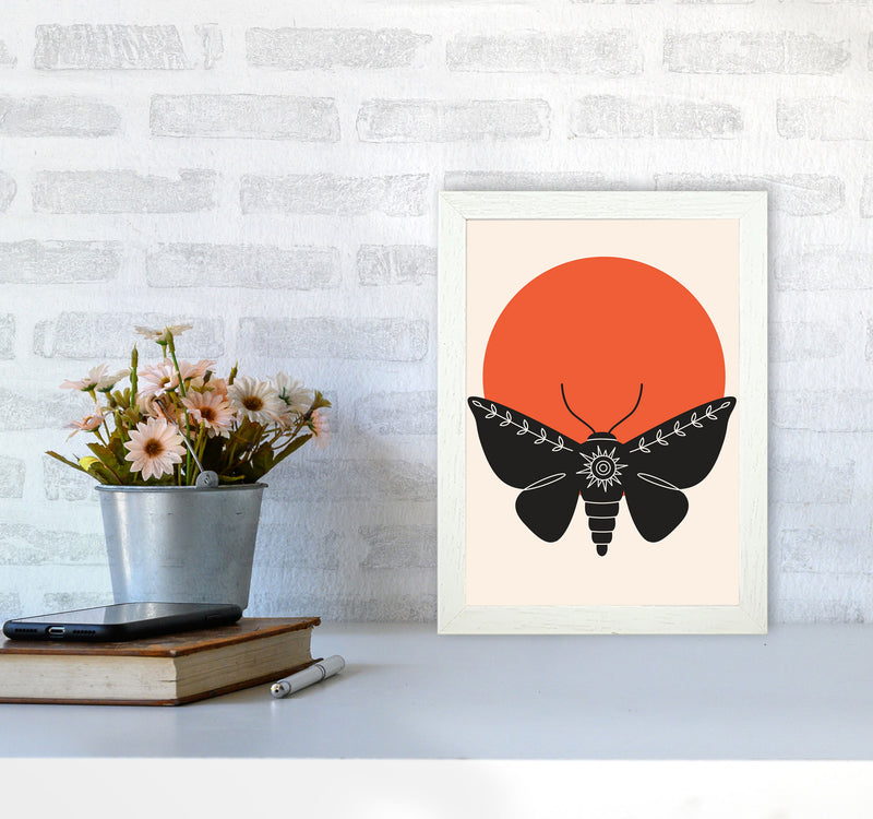 Sunshine Moth Art Print by Jason Stanley A4 Oak Frame