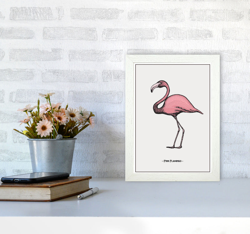 Pink Flamingo Art Print by Jason Stanley A4 Oak Frame