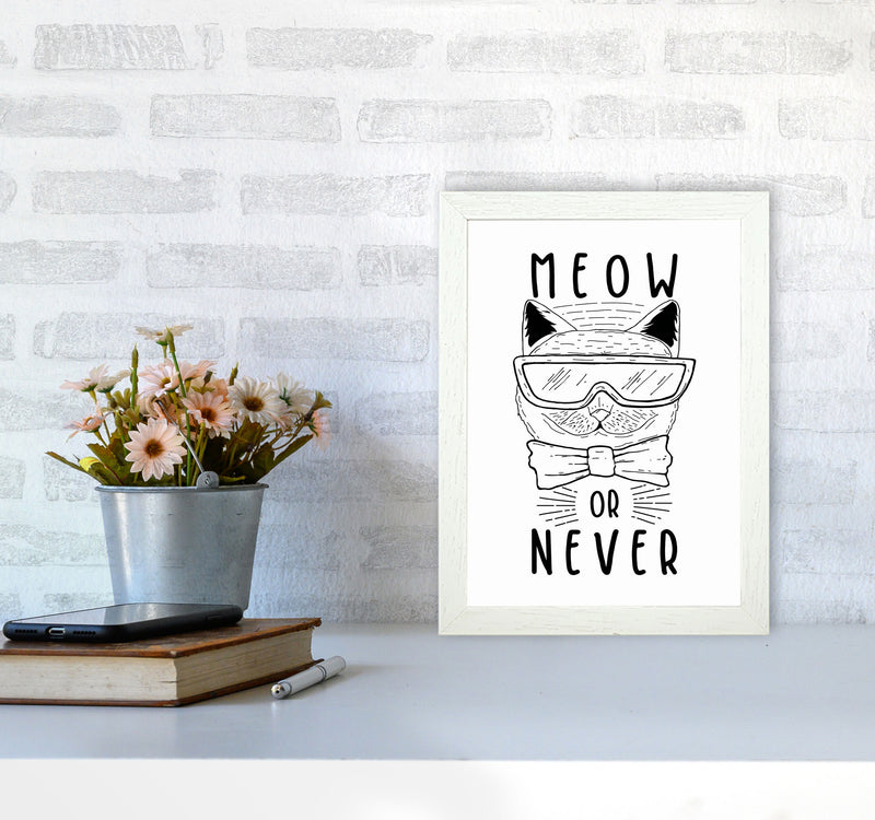 Meow Or Never Art Print by Jason Stanley A4 Oak Frame