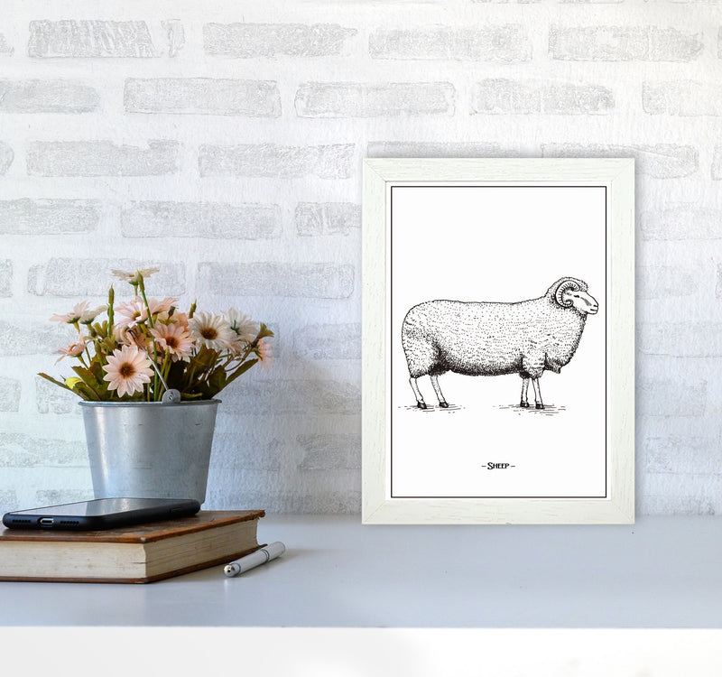 Sheep Art Print by Jason Stanley A4 Oak Frame