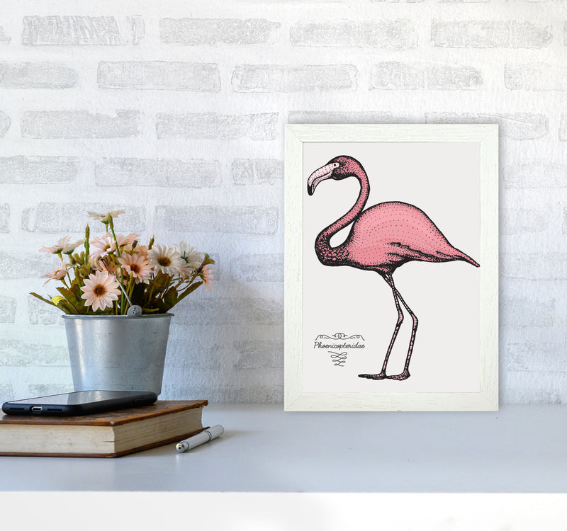 Flamingo Art Print by Jason Stanley A4 Oak Frame