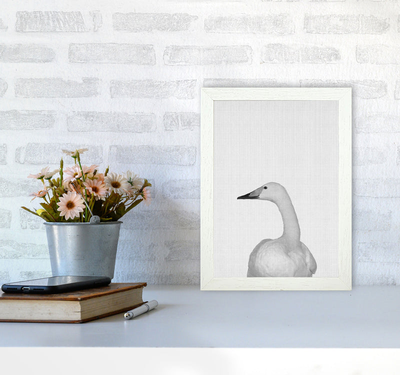 The Case Of The Lost Goose Art Print by Jason Stanley A4 Oak Frame
