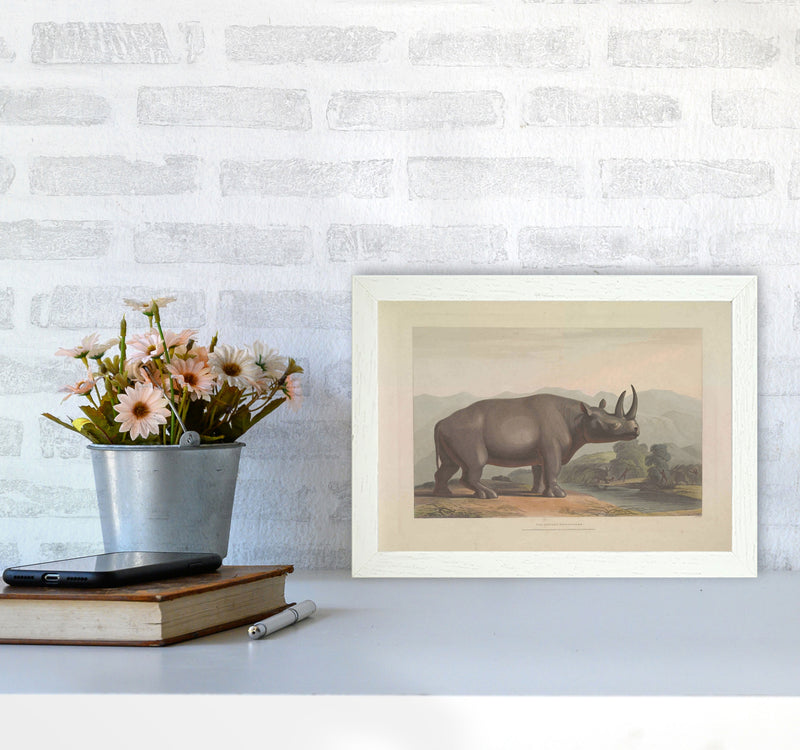 Vintage Rhino Illustration Art Print by Jason Stanley A4 Oak Frame