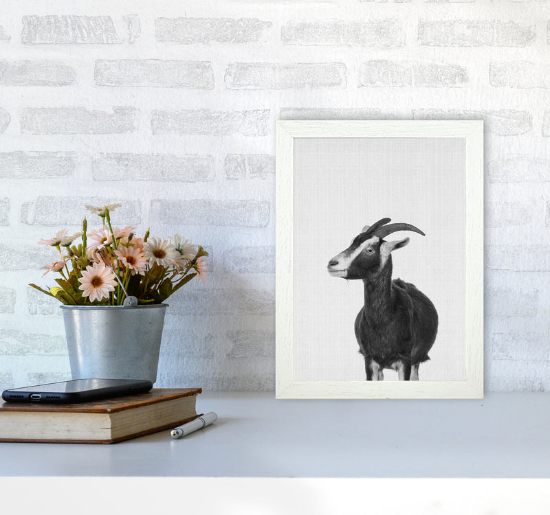 This Goat Takes The Cake Art Print by Jason Stanley A4 Oak Frame