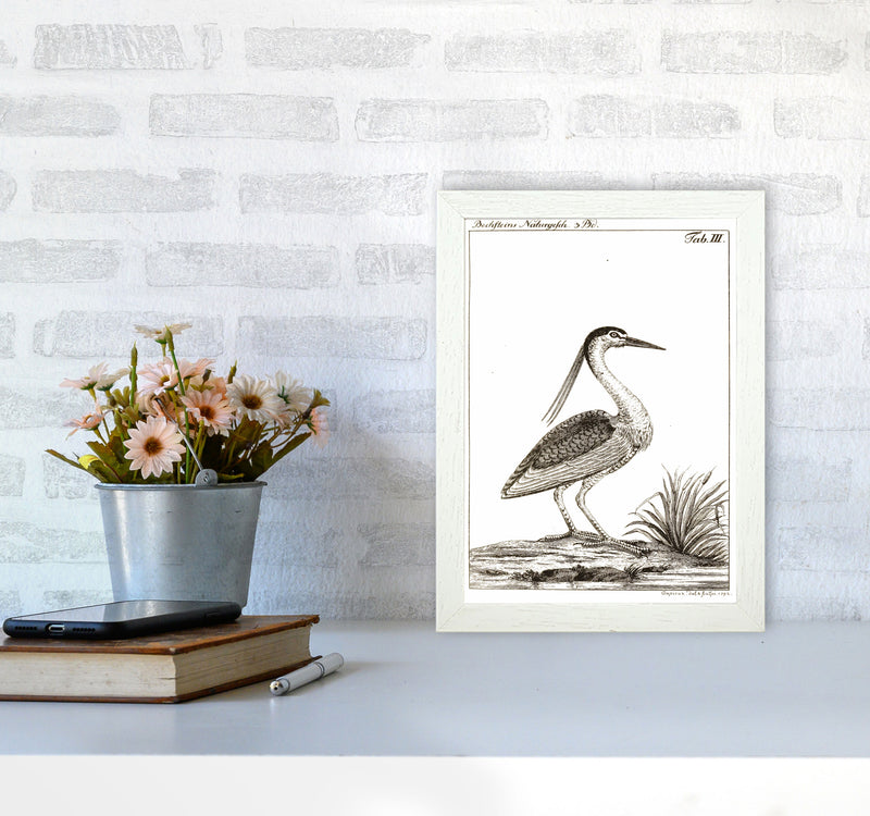 Vintage Hunting Bird Art Print by Jason Stanley A4 Oak Frame