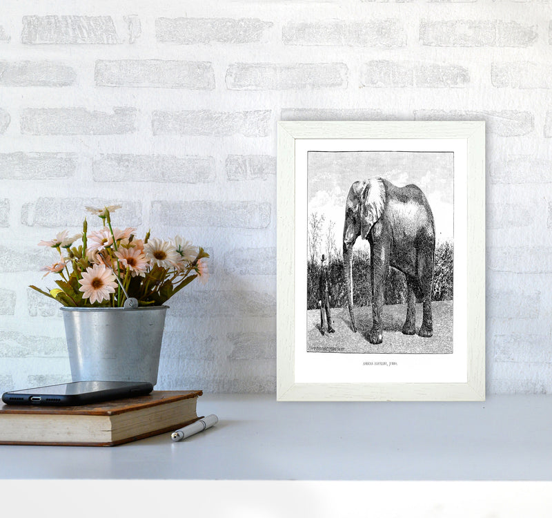 African Elephant Art Print by Jason Stanley A4 Oak Frame