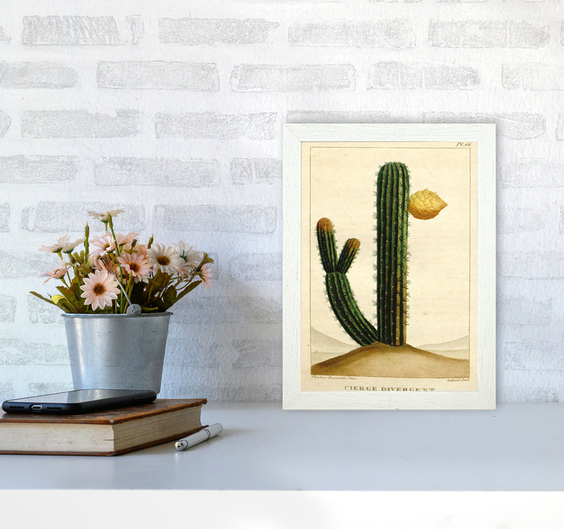 Vintage Cactus II Art Print by Jason Stanley A4 Oak Frame