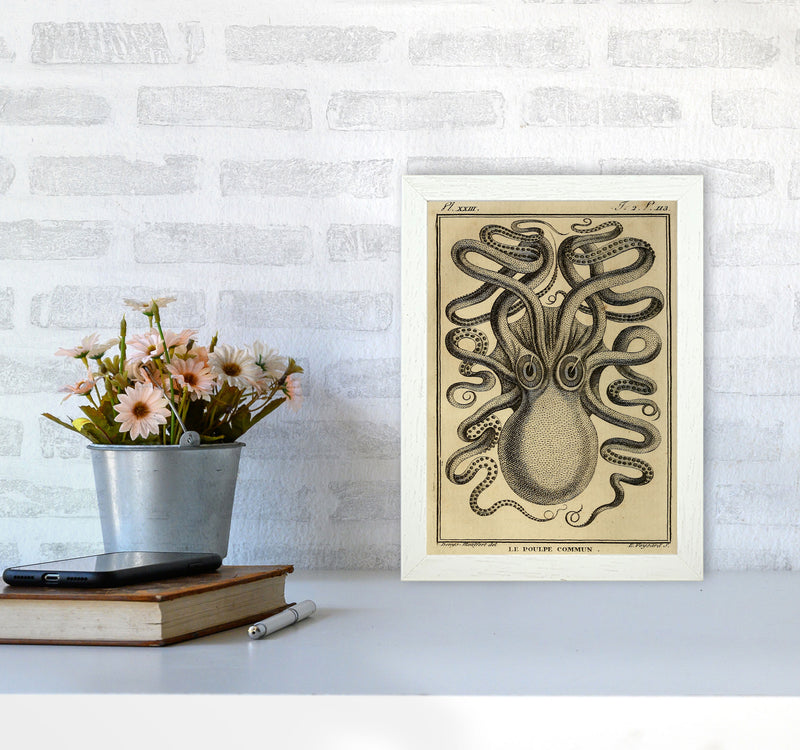 Vintage Octopus 2 Art Print by Jason Stanley A4 Oak Frame