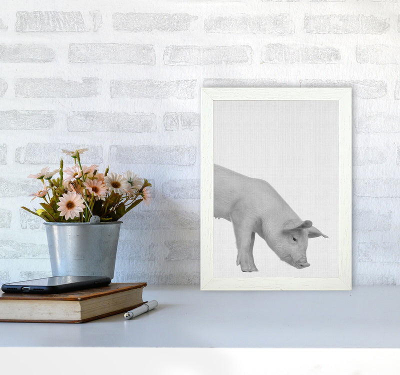 The Cleanest Pig Art Print by Jason Stanley A4 Oak Frame