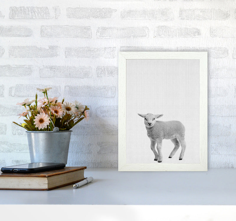 Lamb Art Print by Jason Stanley A4 Oak Frame