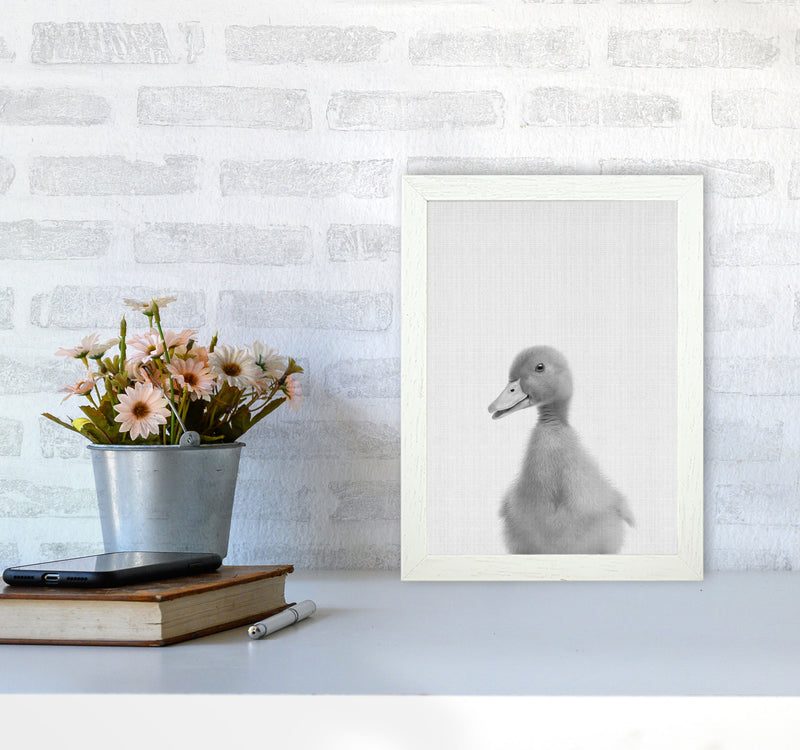 Curious Duck Art Print by Jason Stanley A4 Oak Frame