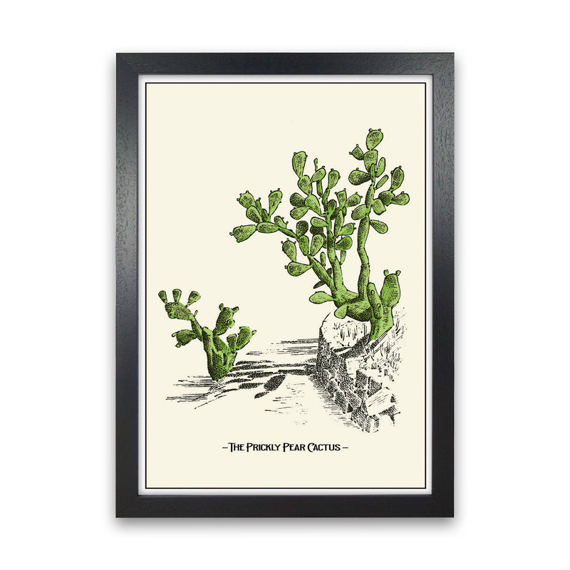 The Prickly Pear Cactus Art Print by Jason Stanley Black Grain