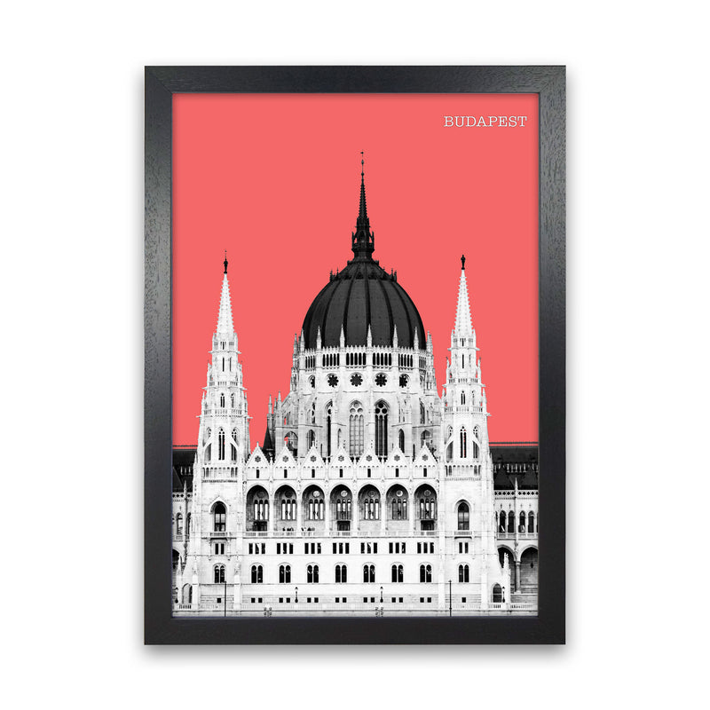 Halftone Budapest Red Art Print by Jason Stanley Black Grain