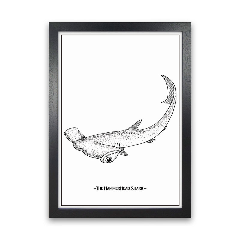 The Hammerhead Shark Art Print by Jason Stanley Black Grain
