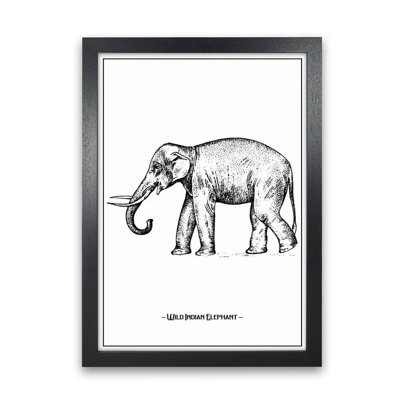Wild Indian Elephant Art Print by Jason Stanley Black Grain