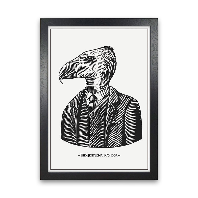 The Gentleman Condor Art Print by Jason Stanley Black Grain