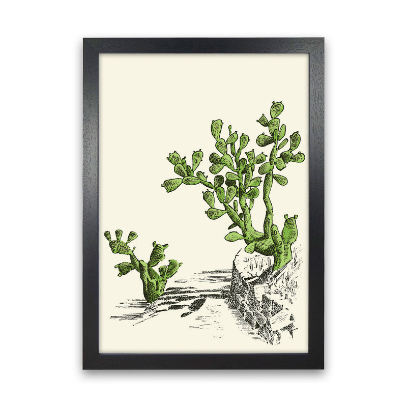 Prickly Pear Cactus Art Print by Jason Stanley Black Grain