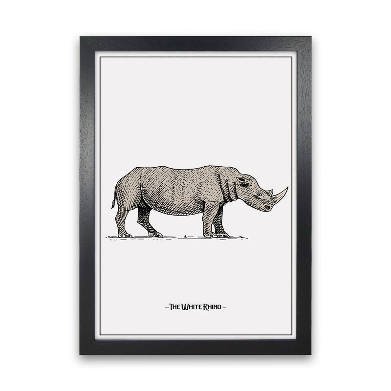 The White Rhino Art Print by Jason Stanley Black Grain