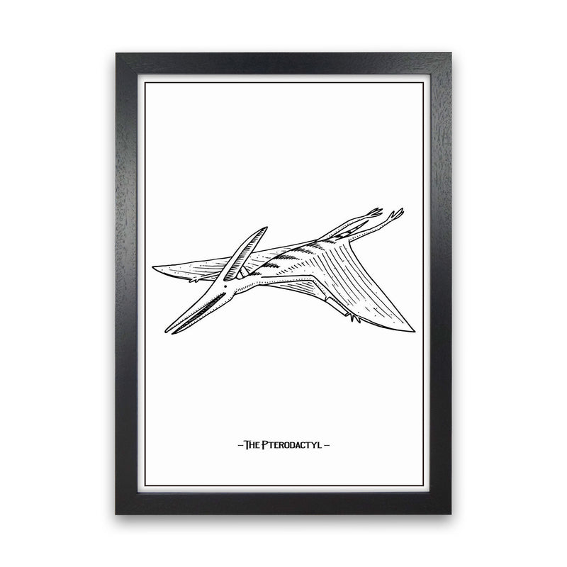 The Pterodactyl Art Print by Jason Stanley Black Grain