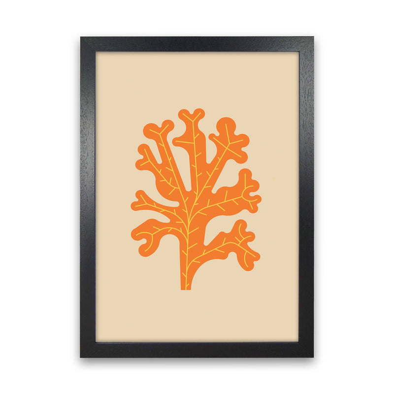 Orange Seaweed Art Print by Jason Stanley Black Grain