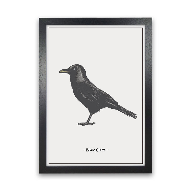 The Black Crow Art Print by Jason Stanley Black Grain