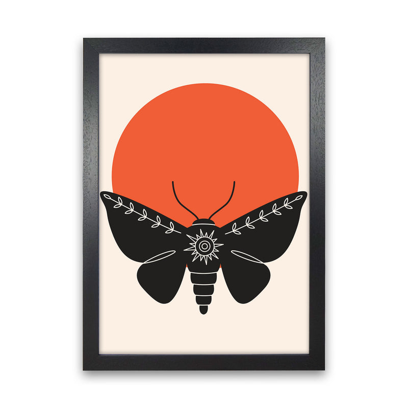 Sunshine Moth Art Print by Jason Stanley Black Grain