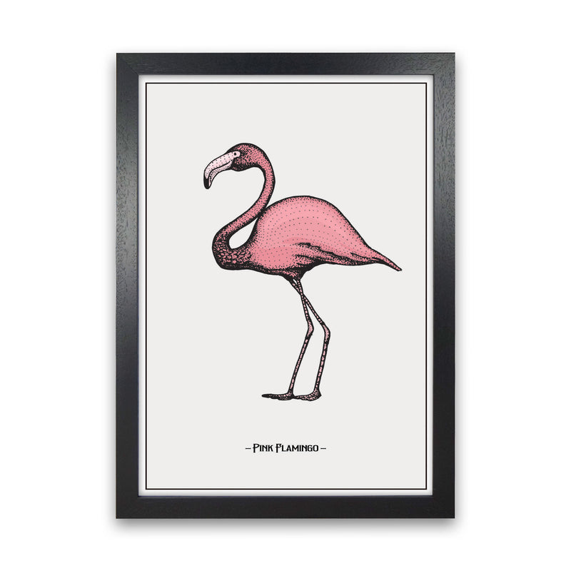 Pink Flamingo Art Print by Jason Stanley Black Grain