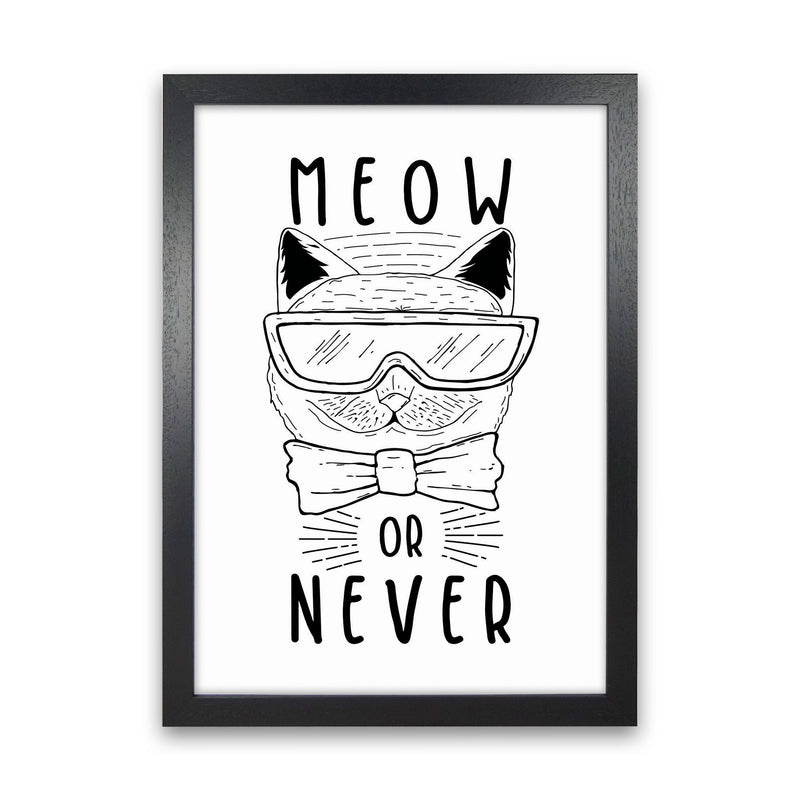 Meow Or Never Art Print by Jason Stanley Black Grain