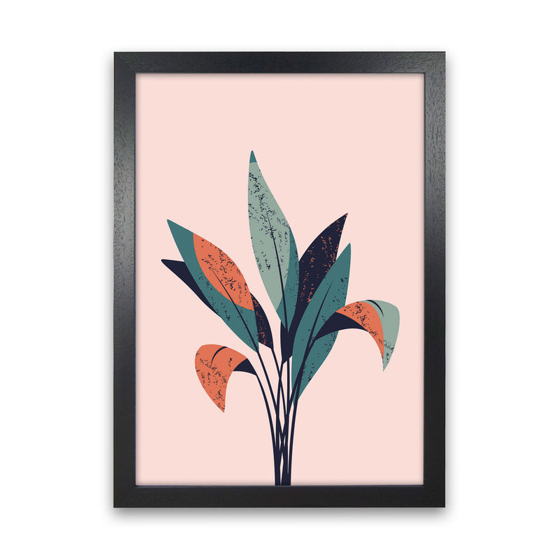 Pink Plant Art Print by Jason Stanley Black Grain