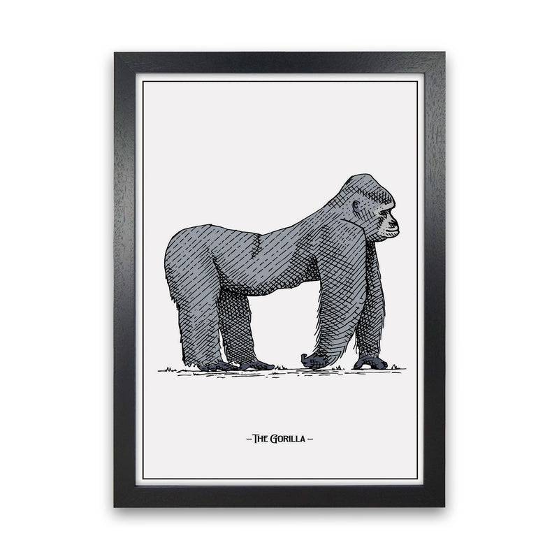 The Gorilla Art Print by Jason Stanley Black Grain