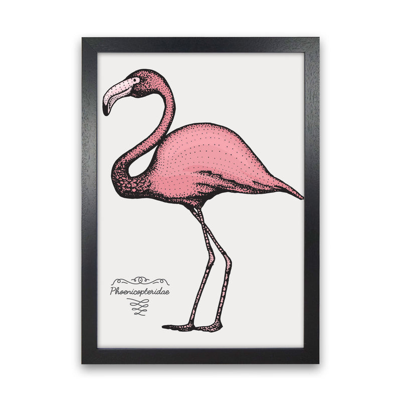 Flamingo Art Print by Jason Stanley Black Grain