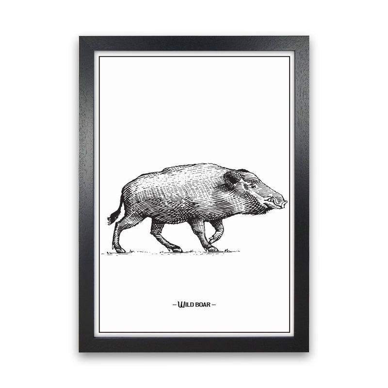 Wild Boar Art Print by Jason Stanley Black Grain