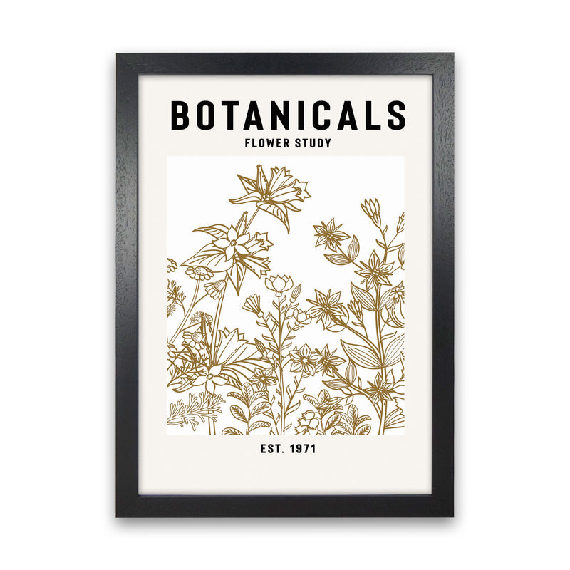 Botanicals Flower Study II Art Print by Jason Stanley Black Grain