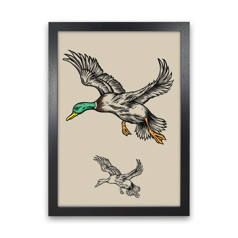 Flying Ducks Art Print by Jason Stanley Black Grain
