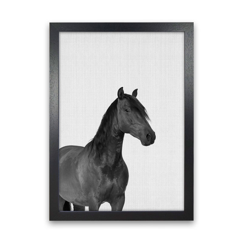 The Dark Horse Rides At Night Art Print by Jason Stanley Black Grain