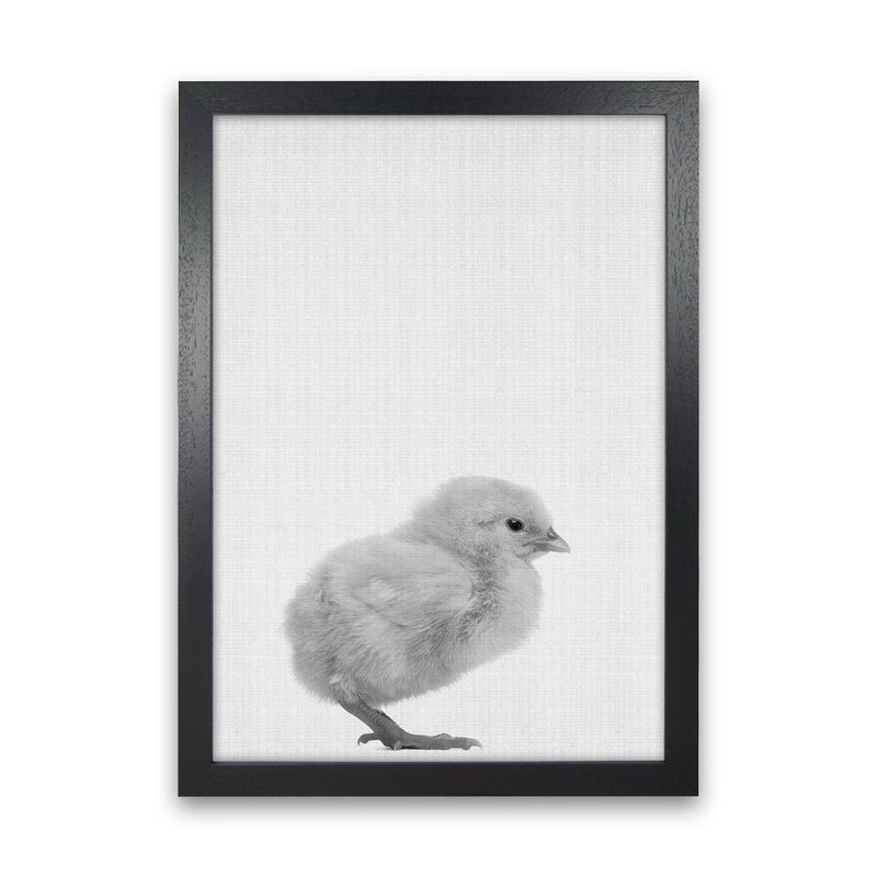 Just Me And My Chick Copy Art Print by Jason Stanley Black Grain