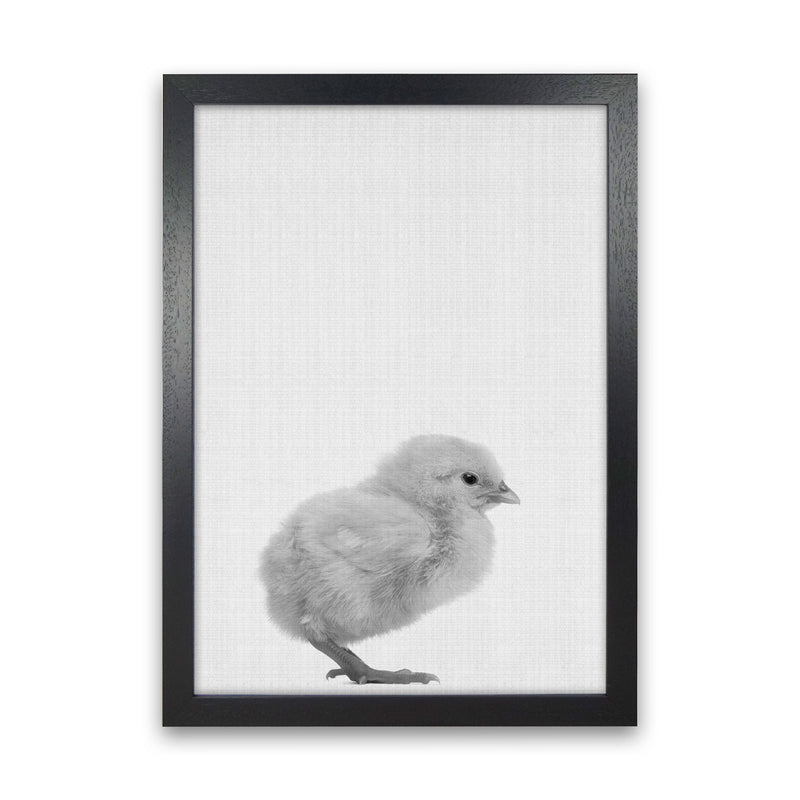 Just Me And My Chick Art Print by Jason Stanley Black Grain