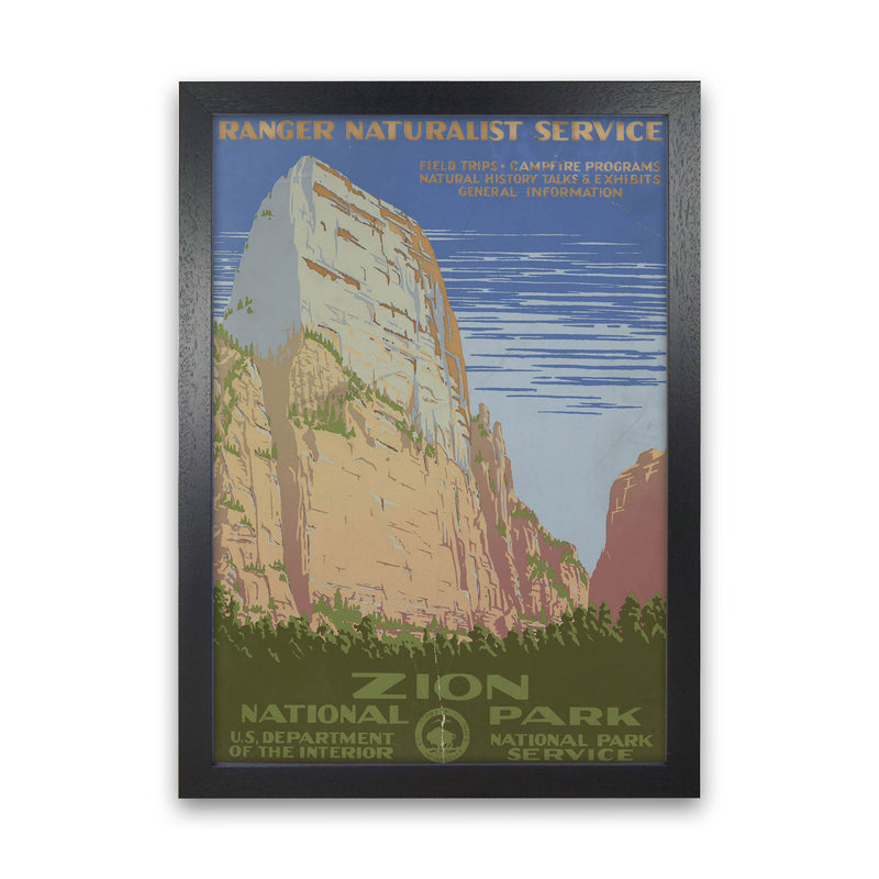 Zion National Park Art Print by Jason Stanley Black Grain