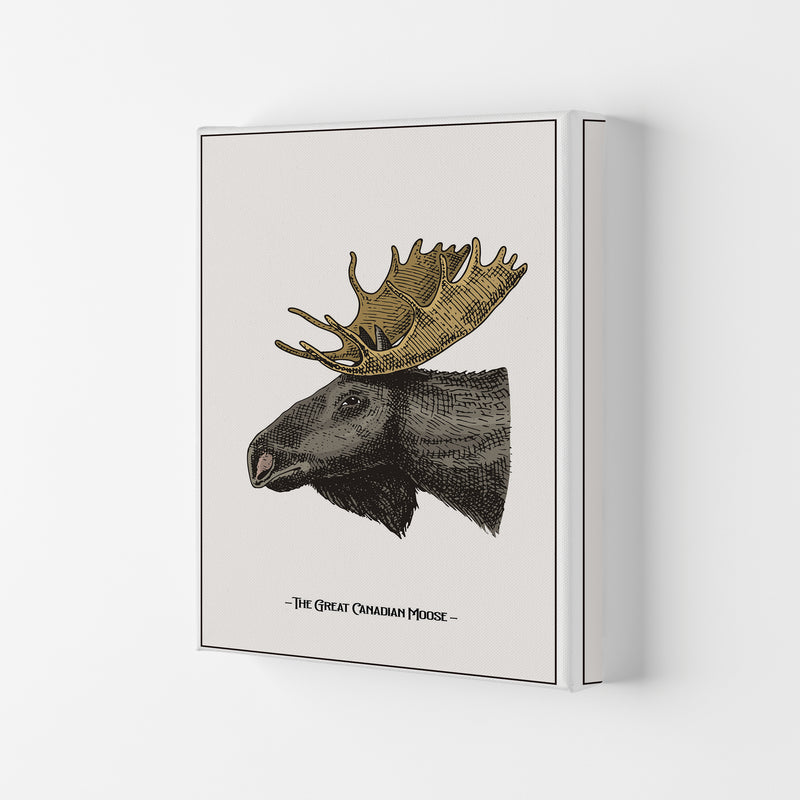 The Great Canadian Moose Art Print by Jason Stanley Canvas
