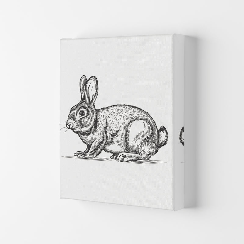Watch Out For The Bunny Art Print by Jason Stanley Canvas