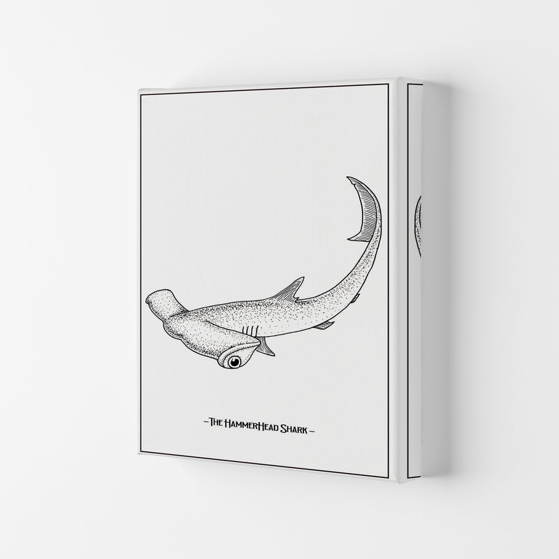 The Hammerhead Shark Art Print by Jason Stanley Canvas